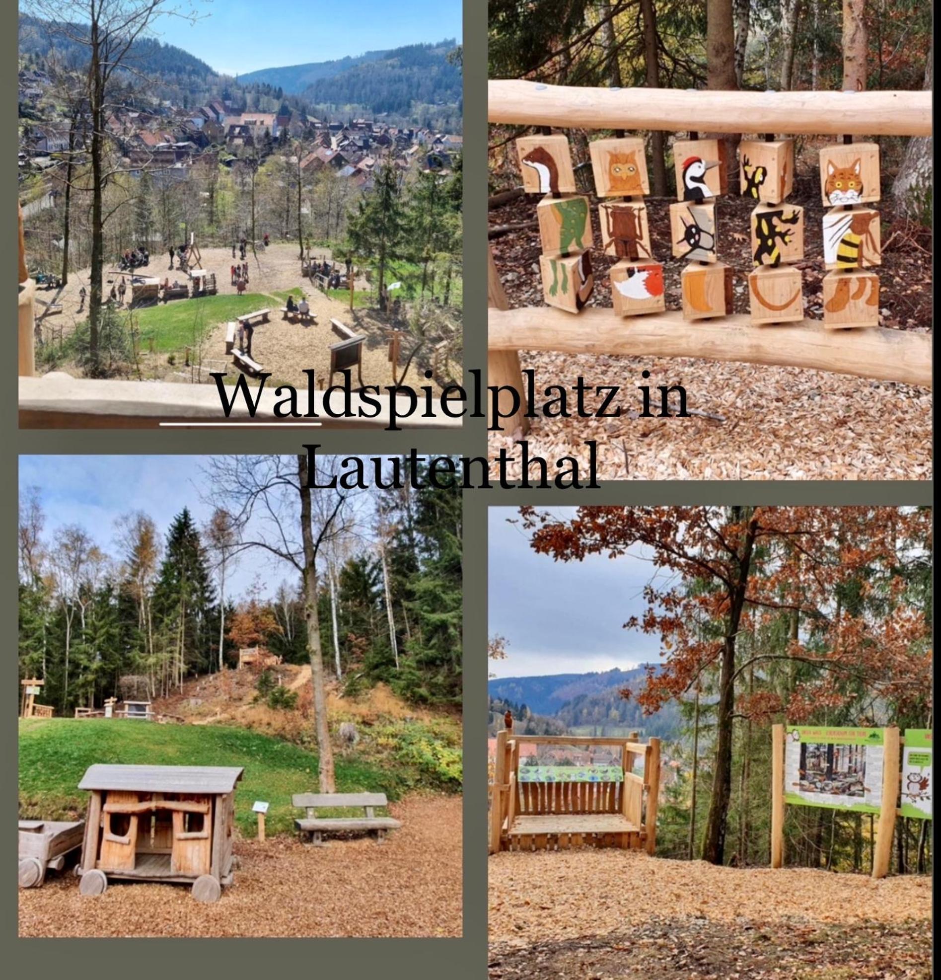 Ferienhaeuser Am Waldschloesschen Лаутентхаль Экстерьер фото