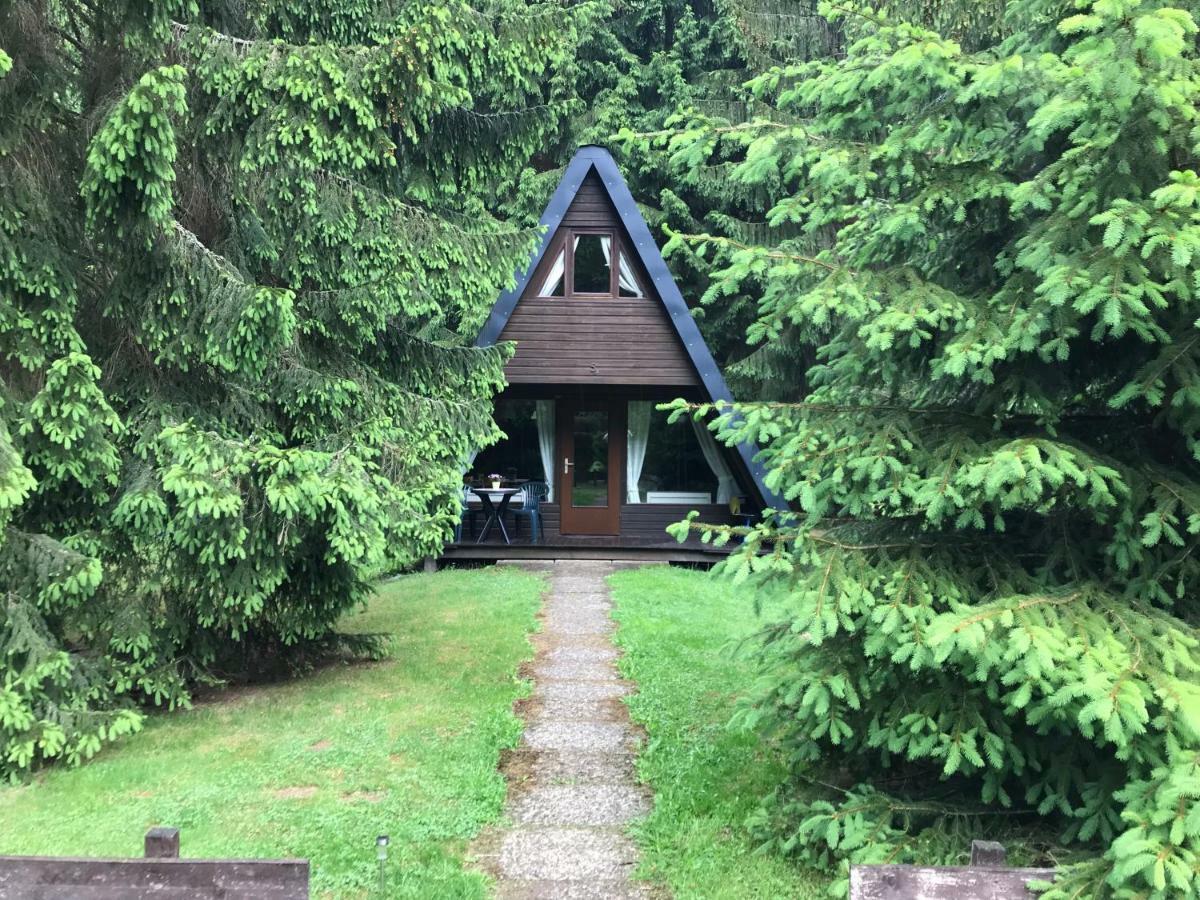Ferienhaeuser Am Waldschloesschen Лаутентхаль Экстерьер фото